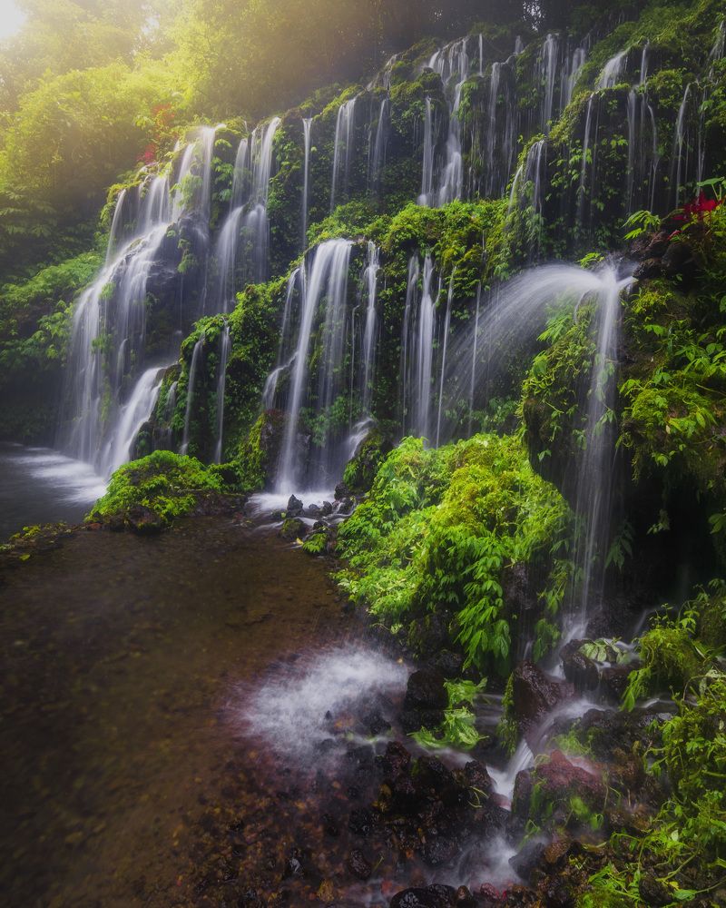 Photograph by Teguh Tofik Hidayat