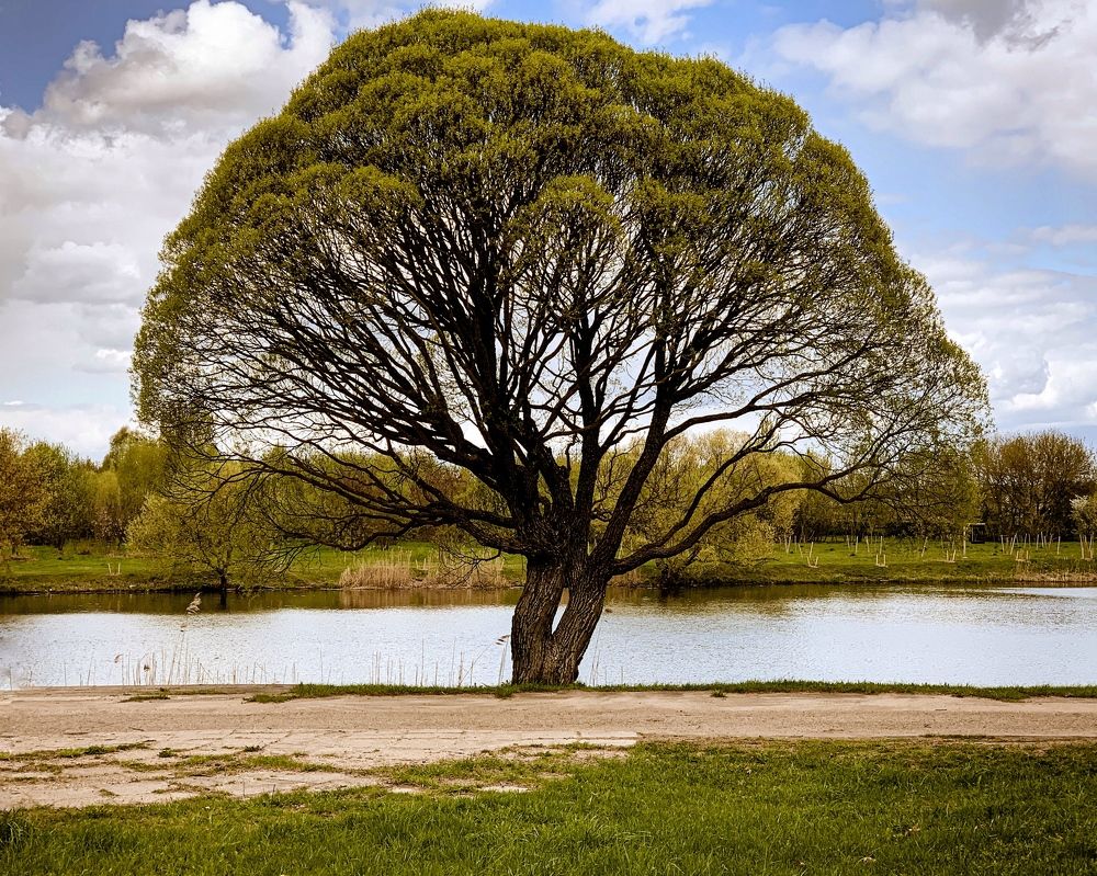 Photograph by Надежда Смирнова