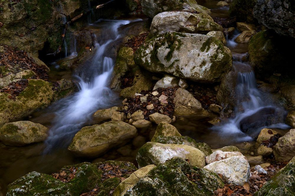 Photograph by Михаил Баевский