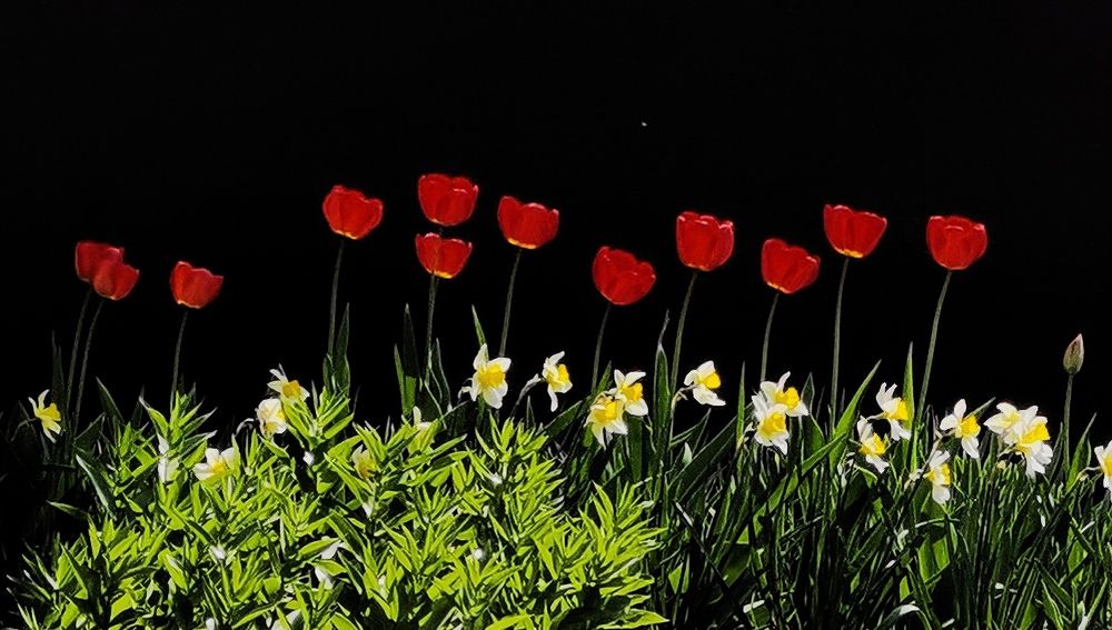 Photograph by Филоненко Николай