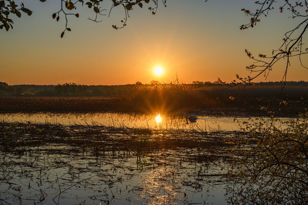 Photograph by Иван Курятников
