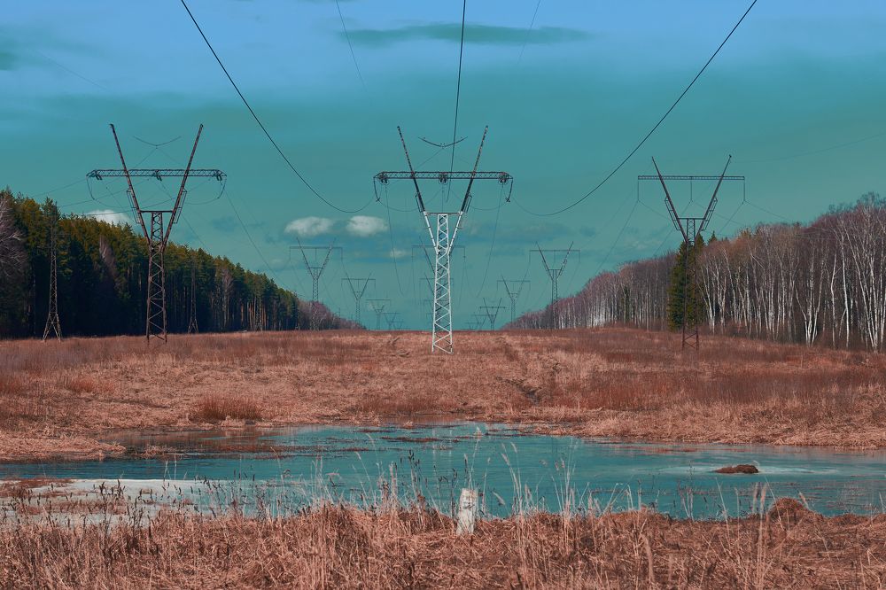 Фотография автора Александр Жданов