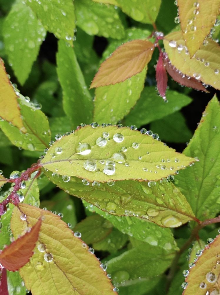 Photograph by Надежда