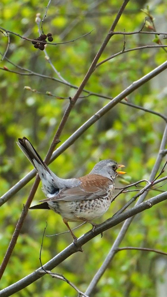 Photograph by Михаил Трусов