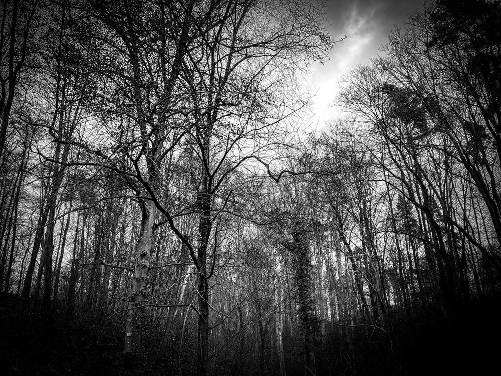 Photograph by Laleh P