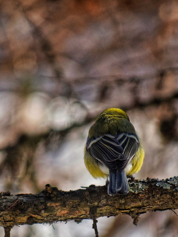 Photograph by Ирина Лучинская