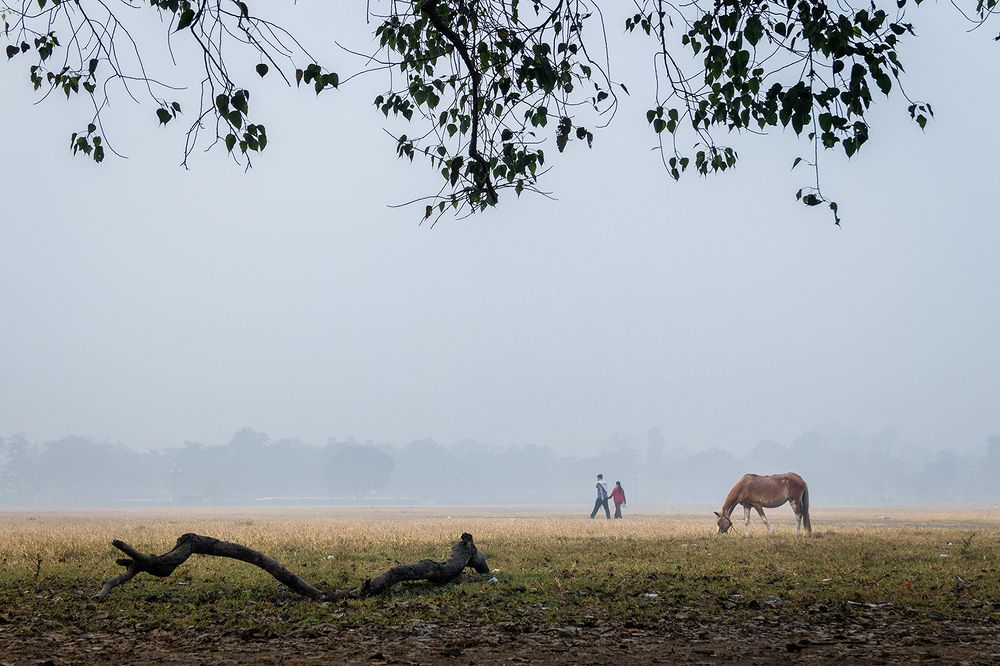 Photograph by Aritra Nath