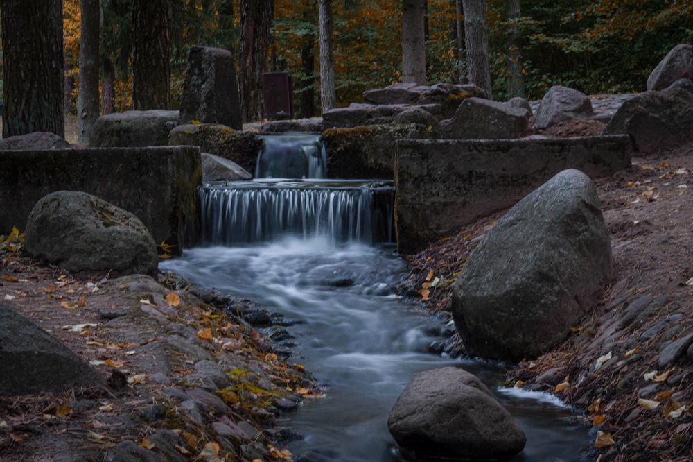 Photograph by Диана Бородзе