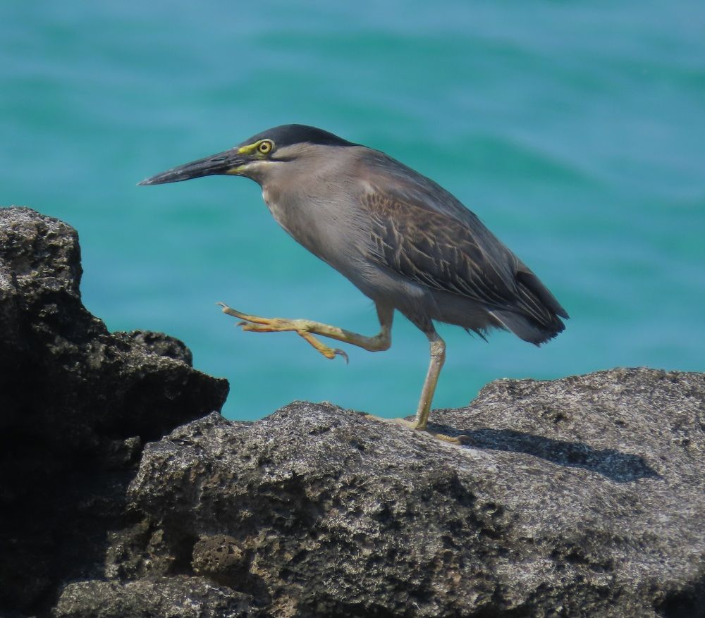 Photograph by mahboube moradalizade