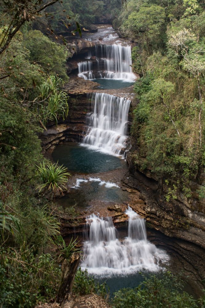 Фотография автора Dipayan Debbarma
