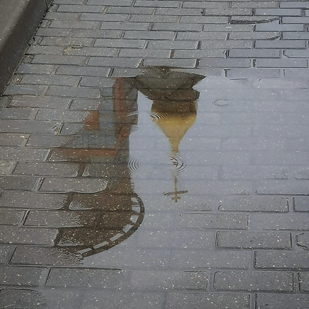 Photograph by Ольга Лукина