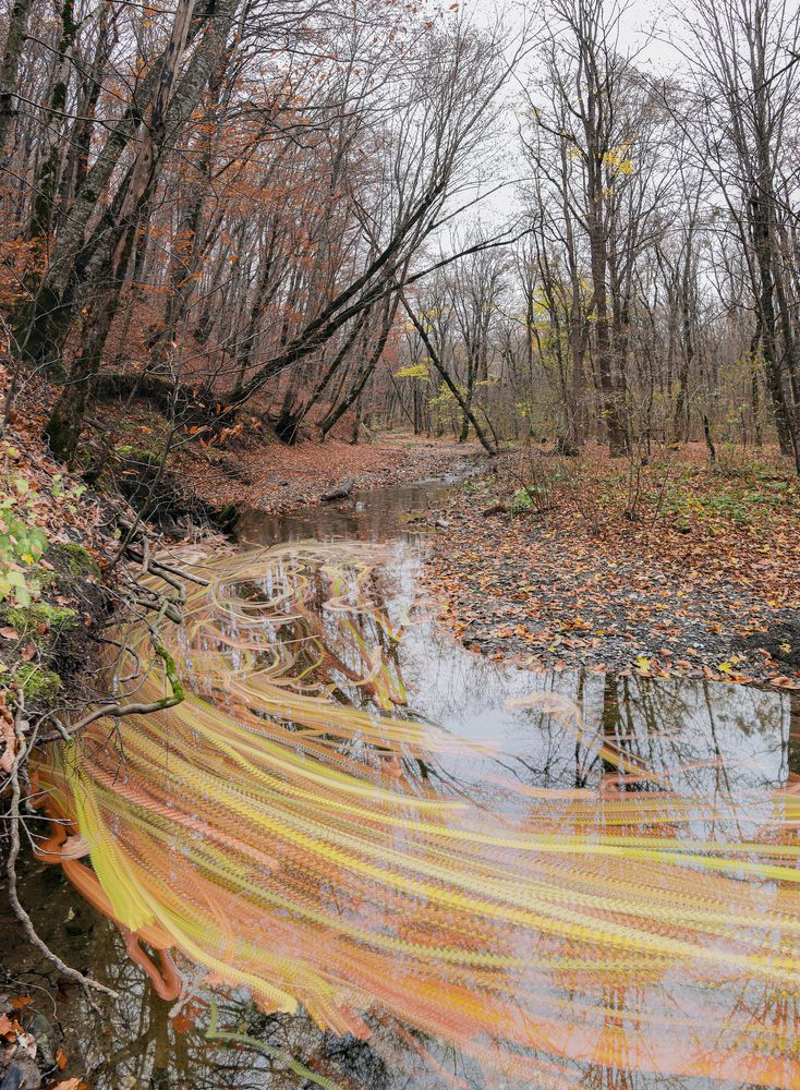 Photograph by Сергей Христинич