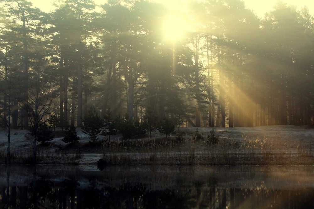 Photograph by Алексей Макаров