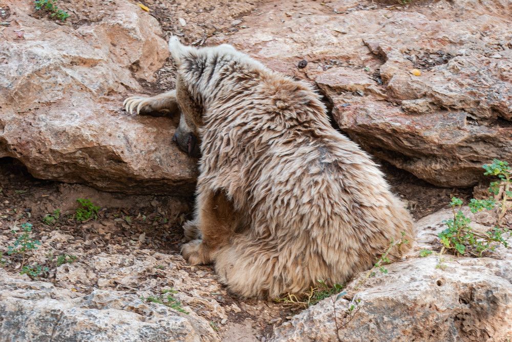 Photograph by Gerry Zweig