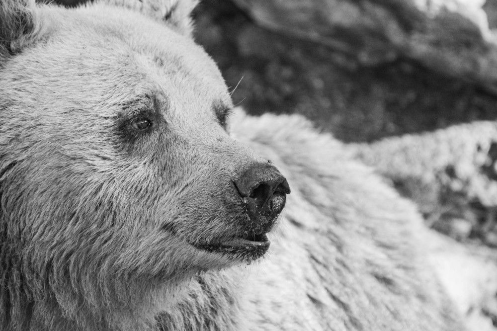 Photograph by Gerry Zweig