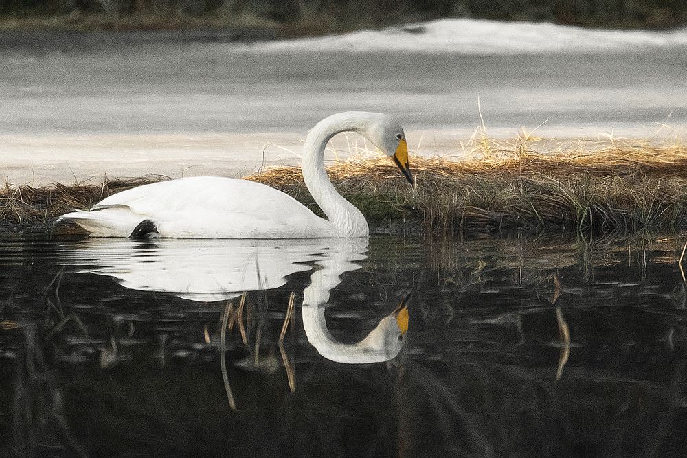 Photograph by Anna Sindikayeva