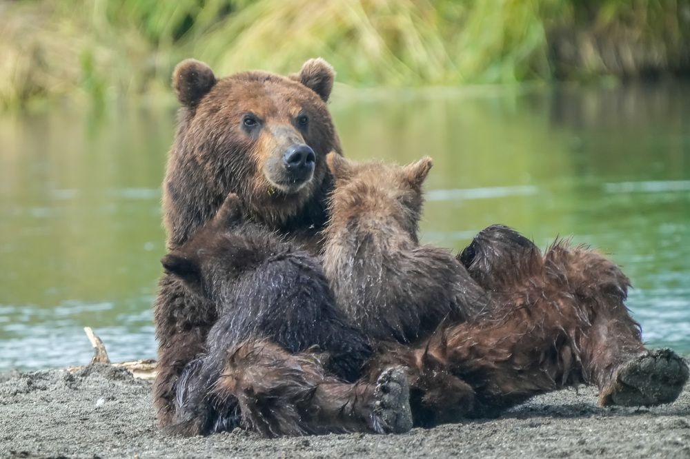 Photograph by Илья Труханов