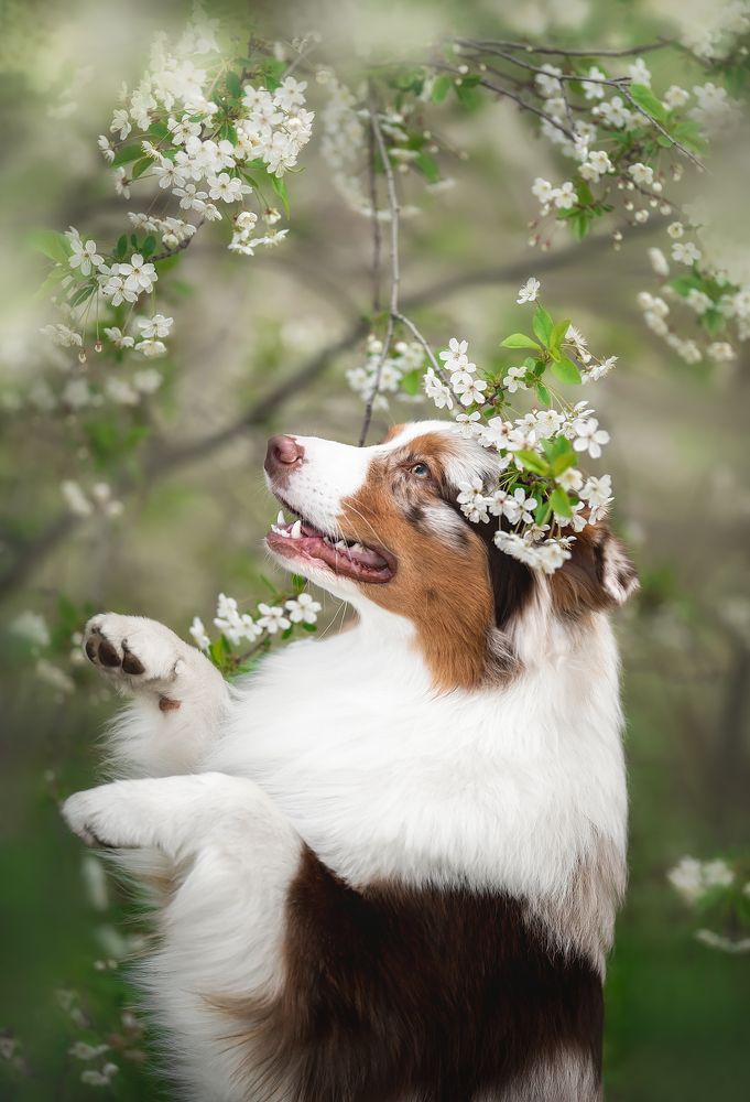 Фотография автора Anna Vilkhovaya