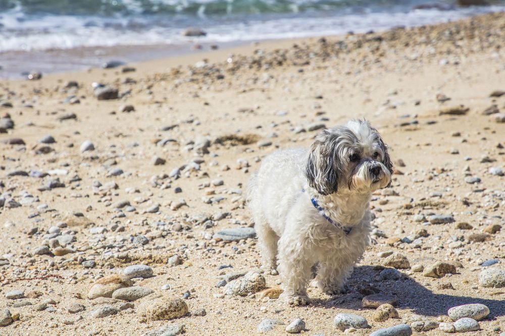 Photograph by Ivaylo Petrov