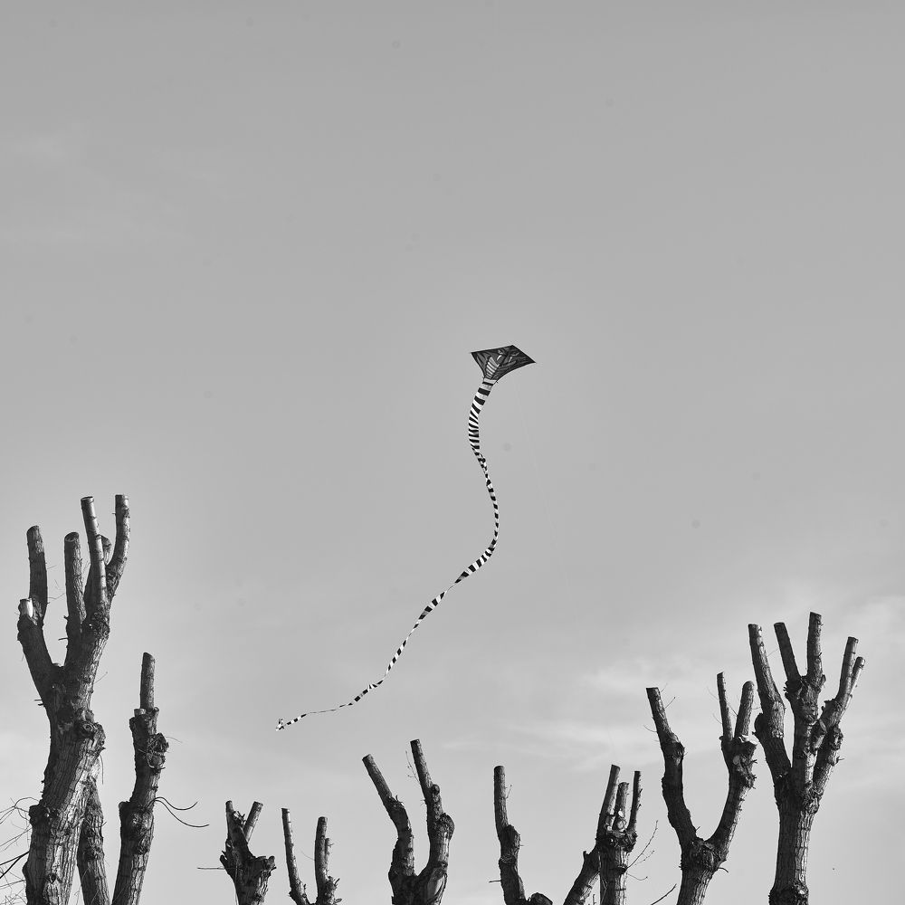 Photograph by Дмитрий Емельянов