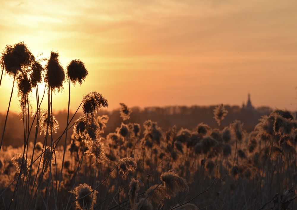 Photograph by Ольга Струкалина