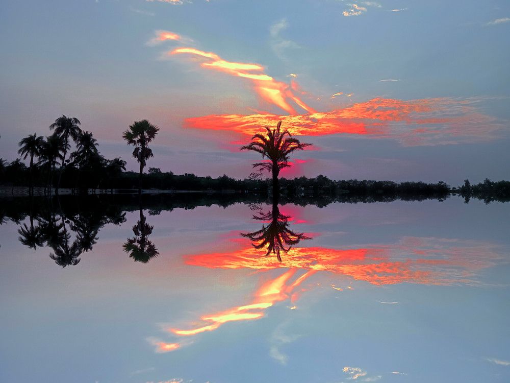 Photograph by mdjahidulislam 0391