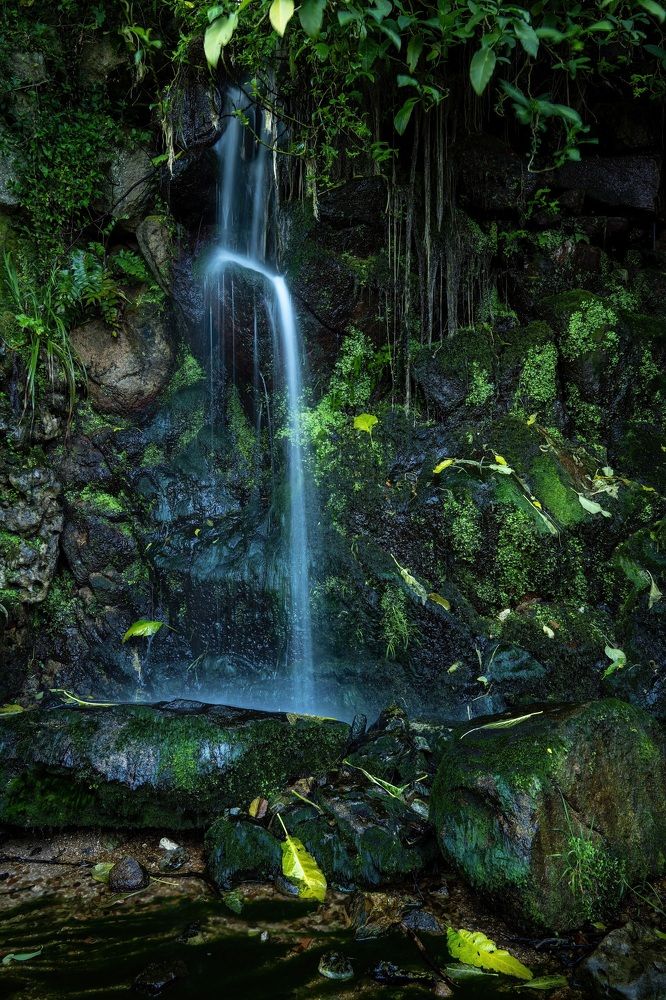 Photograph by Наталья Пирогова