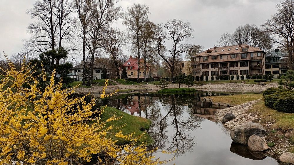 Отражение в воде