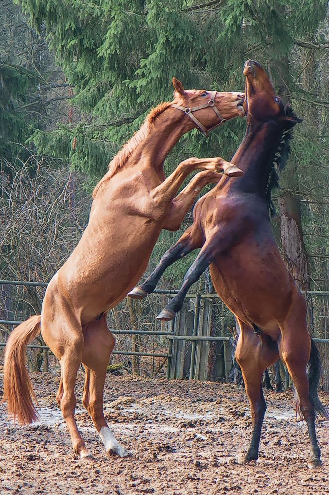 Photograph by Юрий Спасенников