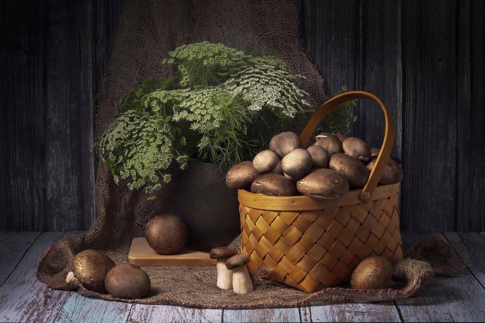 Photograph by Рут