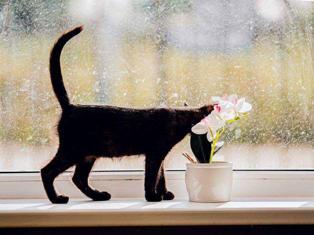 Photograph by Наталья Засенко