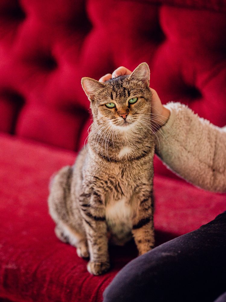 Photograph by Наталья Засенко