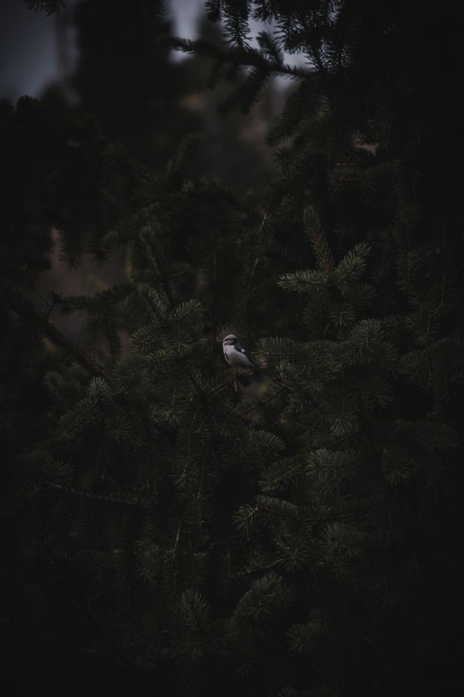 Photograph by Бекежан Мухаметжанов