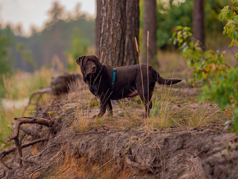 Photograph by Наталья Засенко