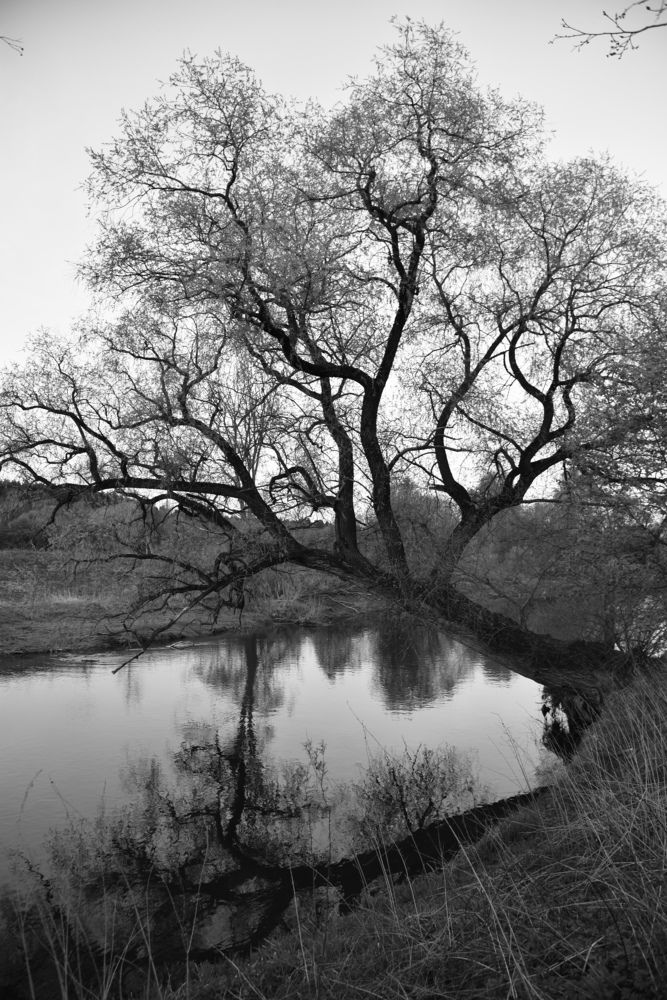 Photograph by Ольга Струкалина