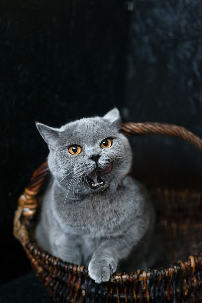 Photograph by Юлия Вершинина