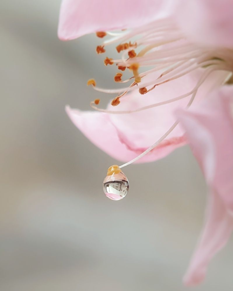 Photograph by NGUYEN LIEN