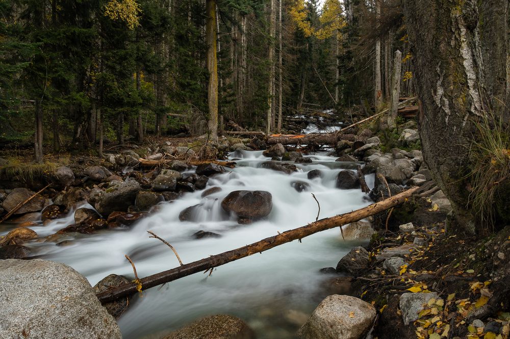 Photograph by Павел Терехов