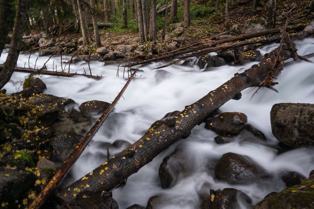 Photograph by Павел Терехов