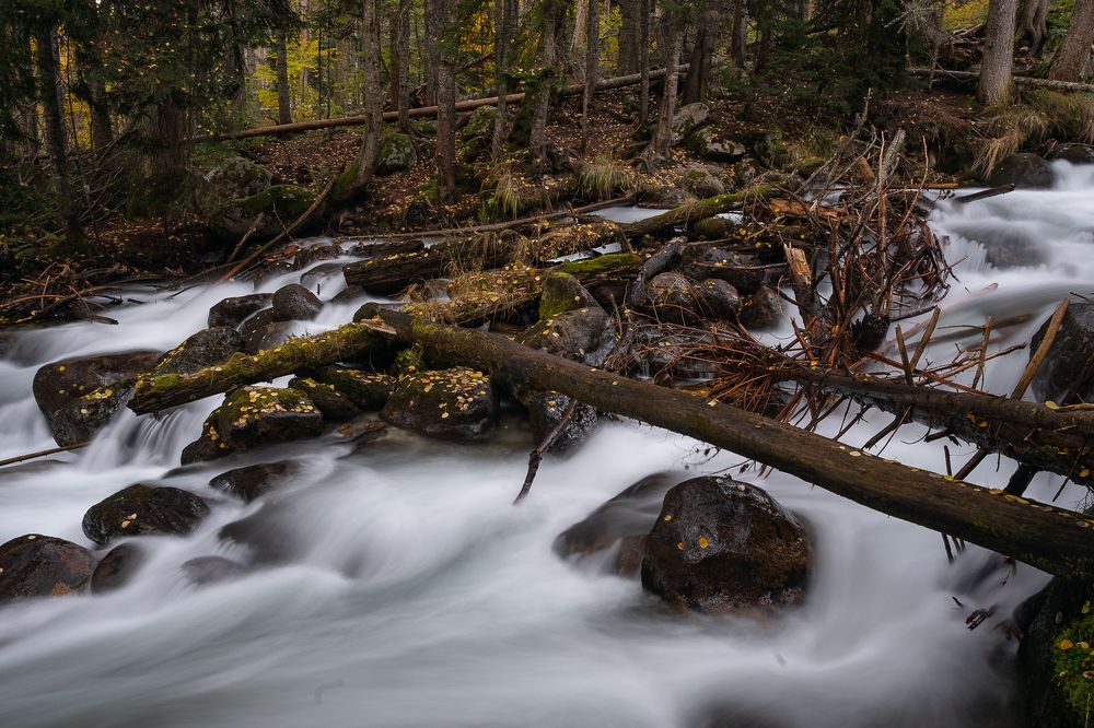 Photograph by Павел Терехов