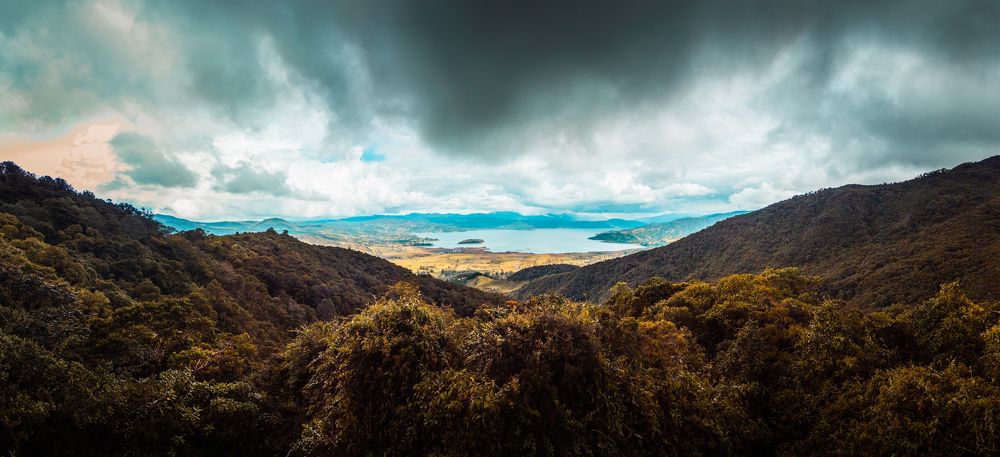 Фотография автора Carlos Jimenez
