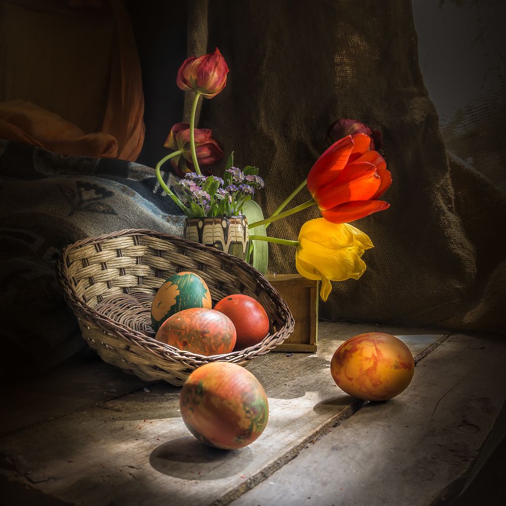 Фотография автора Milena Ivanova