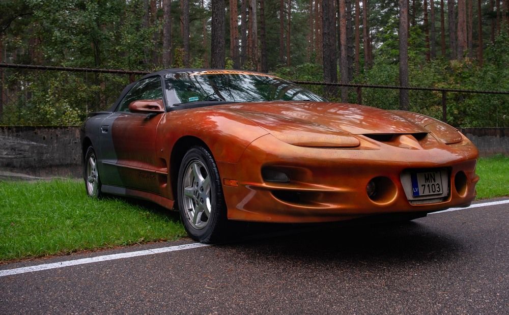 Фотография автора Aлексей Игнатьев