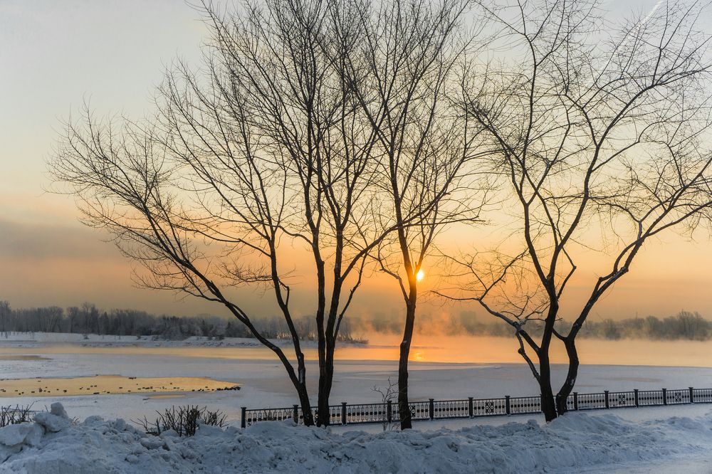 Photograph by Александр Пургин