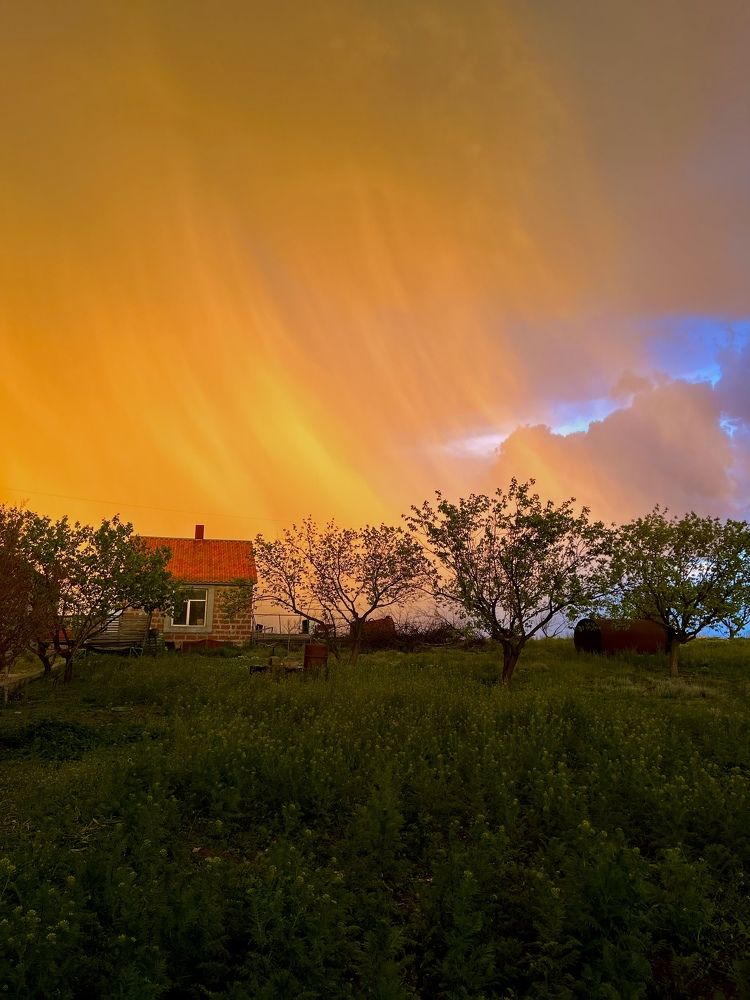 Photograph by Tatev Nadaryan