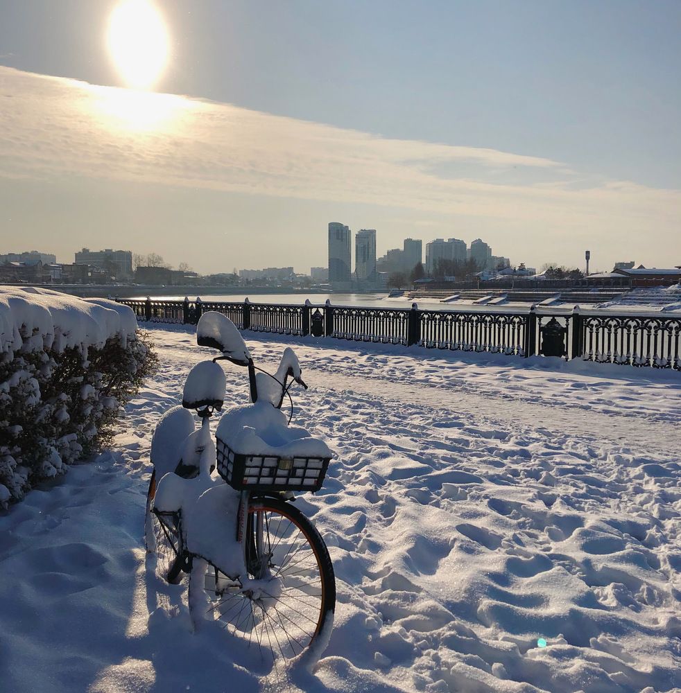 Photograph by Амина Мила