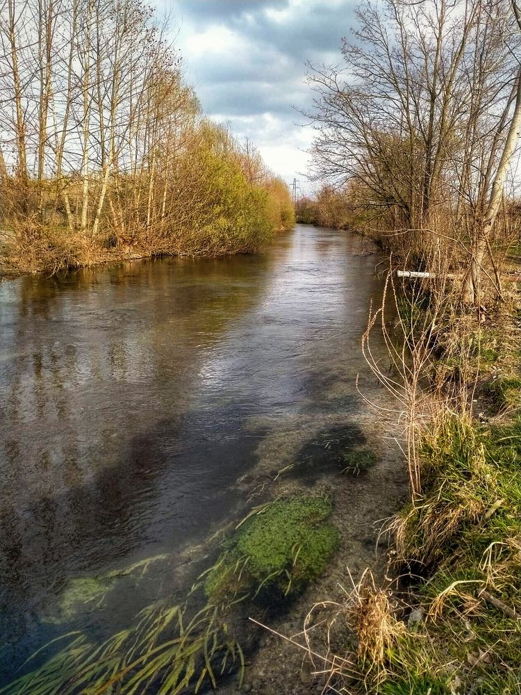 Photograph by Елена Егорова