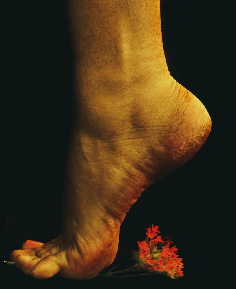 Photograph by Yainyt Alcazar Delgado