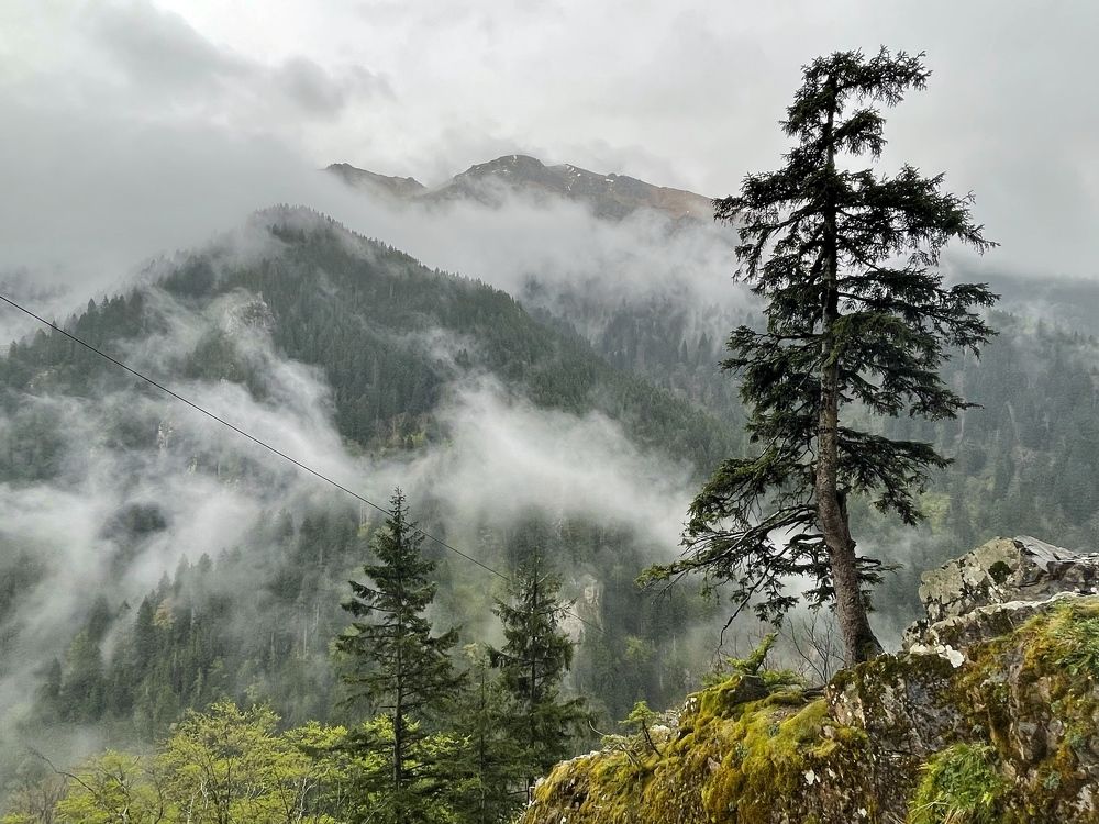 Photograph by Василий Речевский