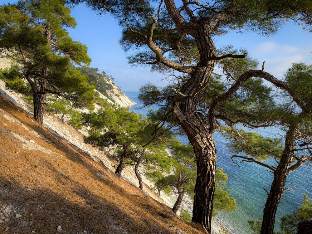 Photograph by Сергей Тихомиров